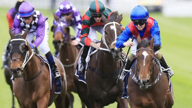 The Bjorn Baker-trained Arapaho (right) has the most miles in his legs this campaign leading into the Melbourne Cup. Picture: Getty Images