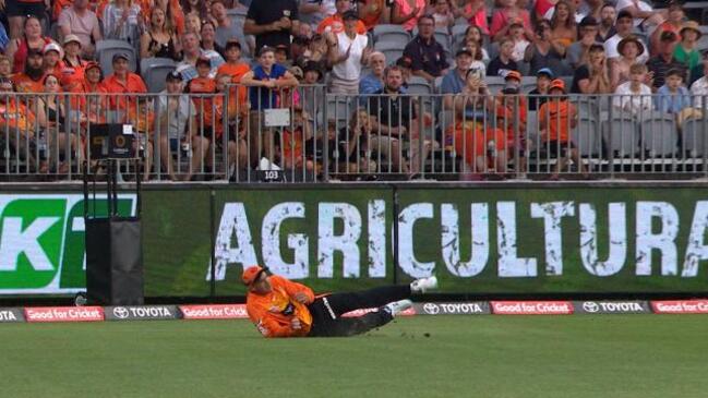 THAT IS A CLASSIC! Amazing Agar catch