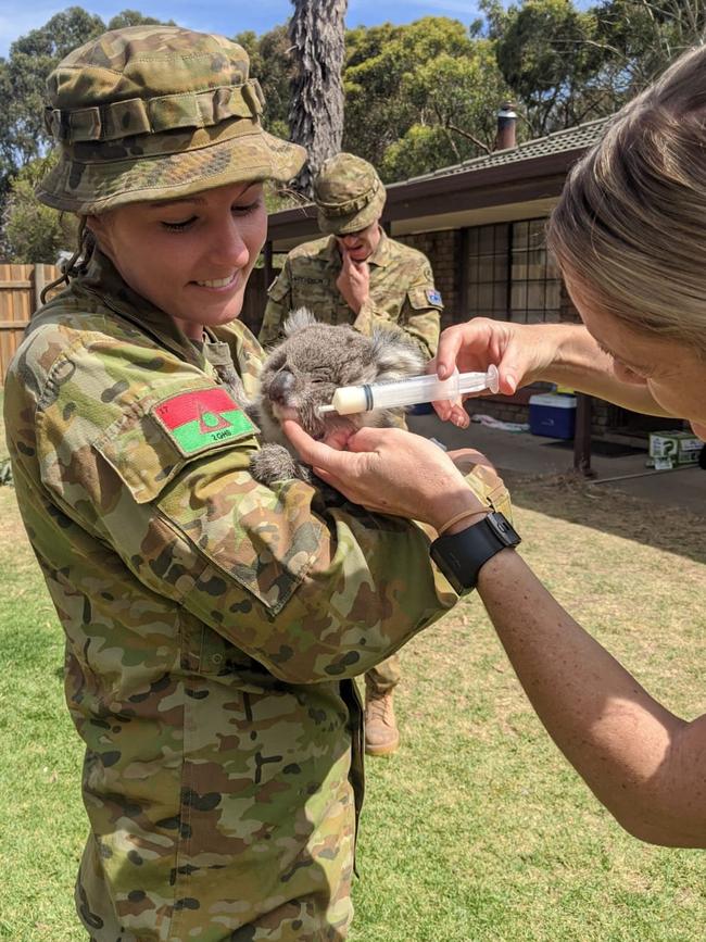 Corporal Carly O'Callaghan and Private Mark Morgan assist the Kangaroo Island Animal Rescue staff to care for injured koalas. Picture: ADF