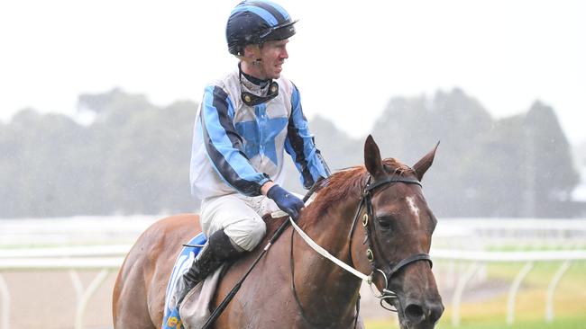 John Allen and All About Eve boast an excellent Ballarat record. Picture: Pat Scala / Racing Photos