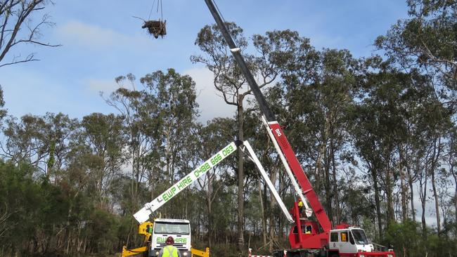 Relocating the wedgetail eagle nest by the Seymour Group to a green zone in its 65ha land parcel in the Yatala industrial precinct.