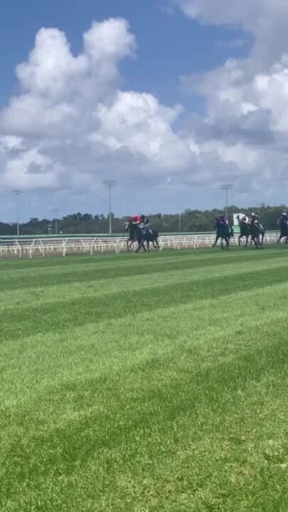 Magic Millions at the Sunshine Coast Turf Club