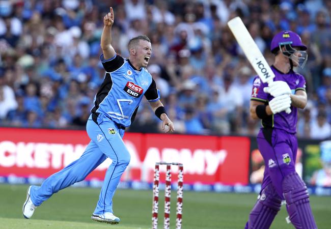 Peter Siddle celebrates the wicket of D'Arcy Short. Picture Sarah Reed