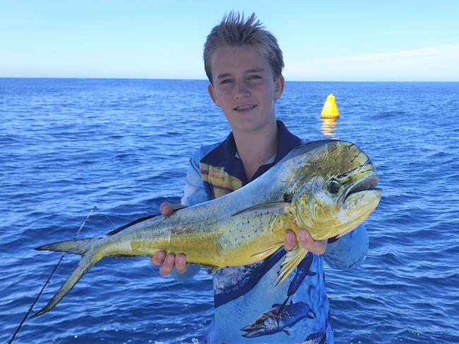 A dolphinfish caught off the Terrigal FAD. Picture: supplied