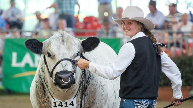 Steer towards the Cattle Competition.