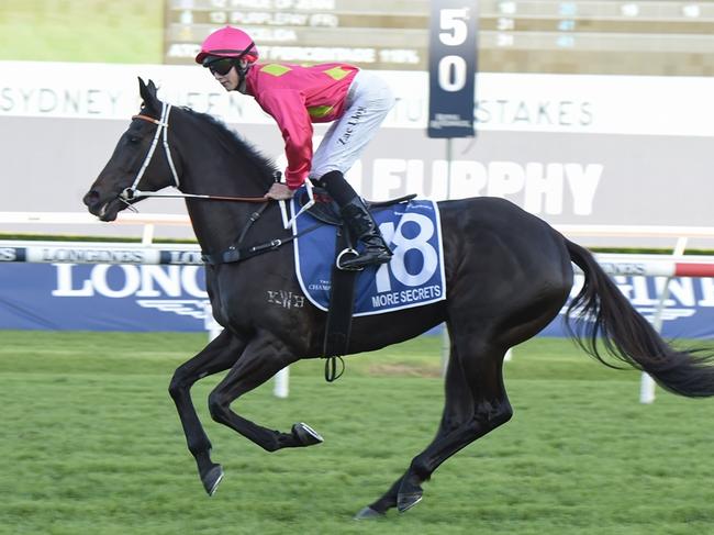 The Team Hawkes-trained More Secrets is a $23 chance in Saturday's Group 1 Coolmore Classic at Rosehill Gardens. Picture: Bradley Photos