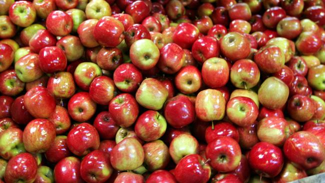 Huon Valley apple packing sheds to close, Driessen Bros at Castle Forbes Bay