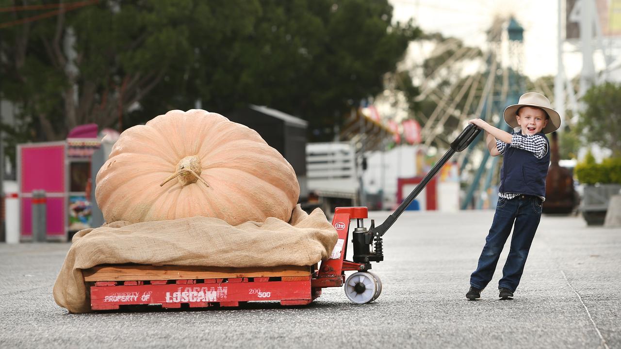 254kg pumpkins a star attraction at Easter Show