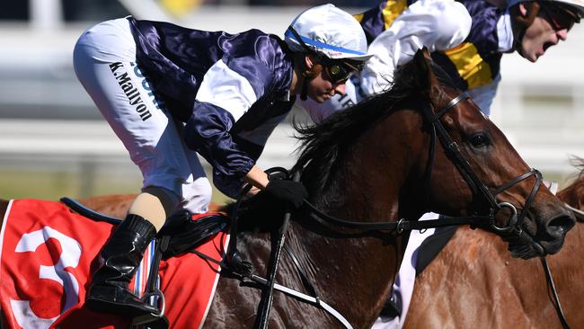 Johannes Vermeer is the Caulfield Cup favourite. Picture: AAP