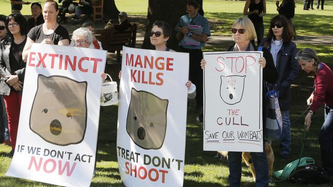 Spectators hold signs at the rally on Parliament Lawns. Picture: MATHEW FARRELL