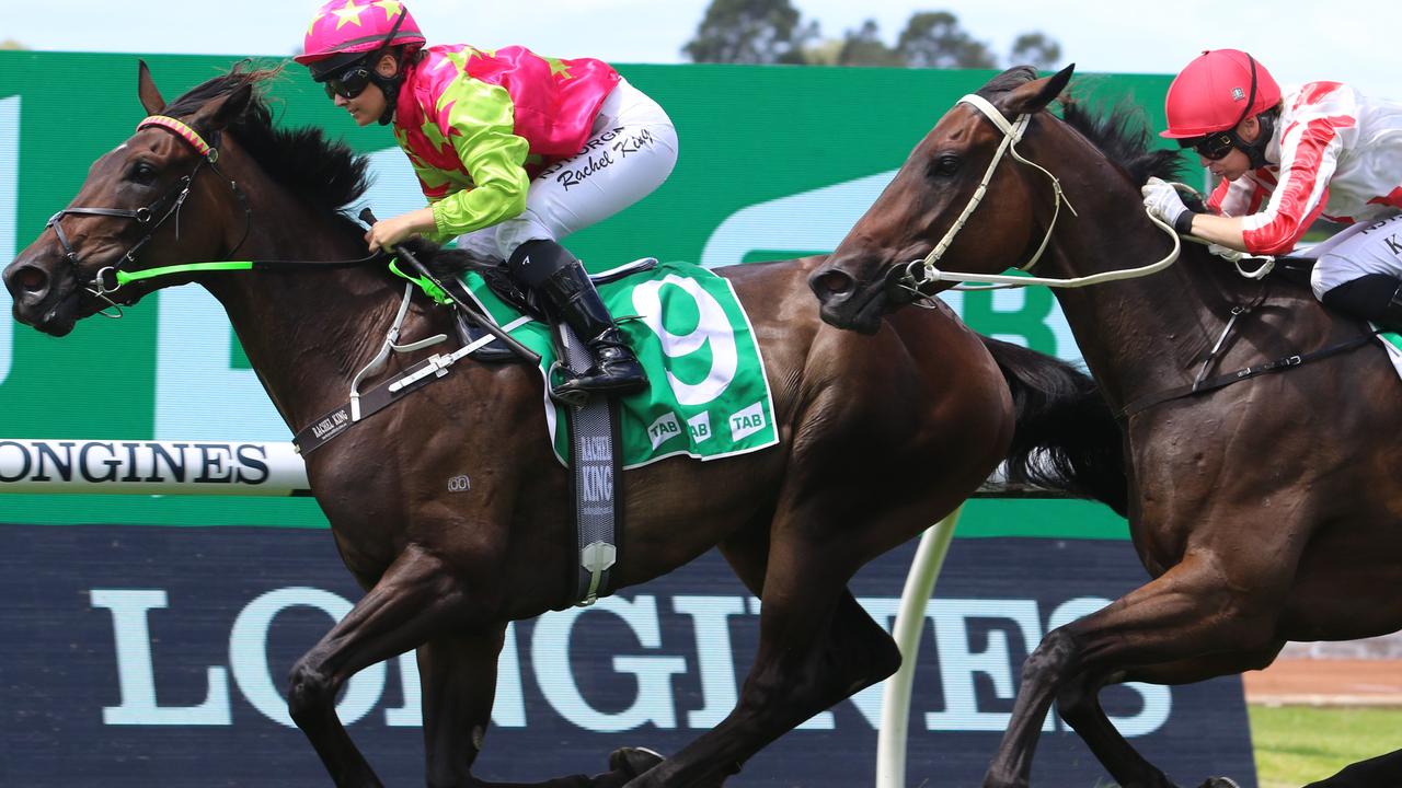 Blue Missile beaten Taxes Storm at Rosehill. Photo: Grant Guy