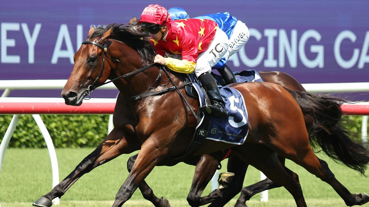 North England is a leading contender for the Golden Slipper. Picture: Jeremy Ng/Getty Images