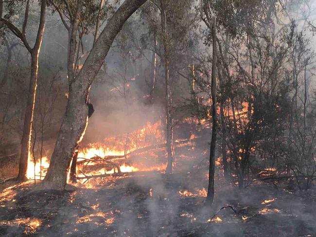 The firefight in Thowgla Valley, south of Corryong. Picture: James Paton