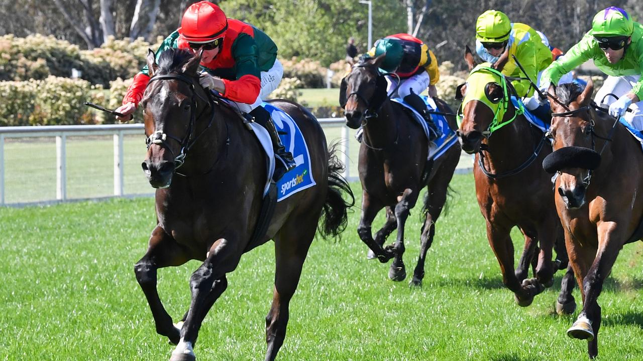 Geelong Cup day tips Wednesday: $5.50 best bet