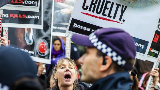 Horse racing protesters chant in Federation Square during the Melbourne Cup Parade.