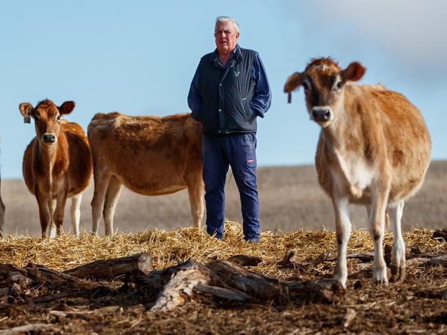 Rob Brokenshire on his Mt.Compass property. The silent drought - parts of southern Australia in grip of 1 in 100 year dry. Rob's family dairy - like much of SA. Picture by Matt Turner.