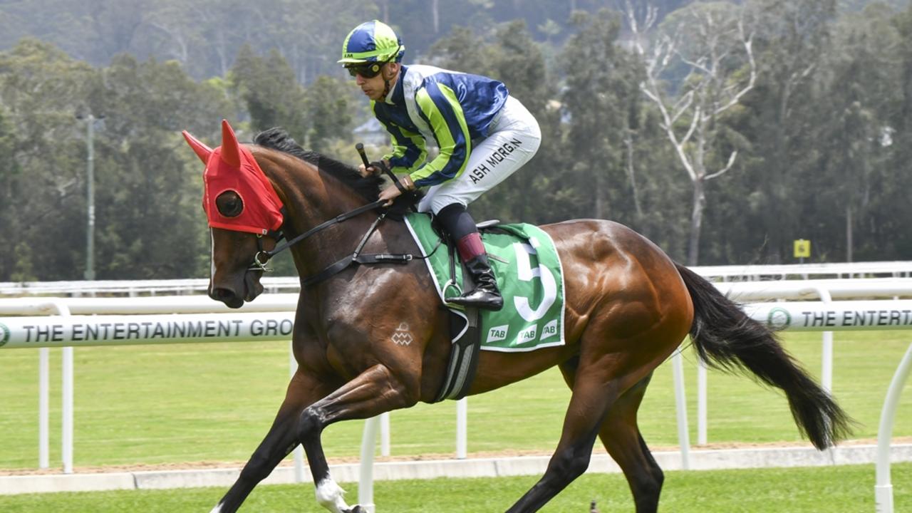 Port Macquarie, Quirindi tips: Doyle mare to get job ‘Dun’