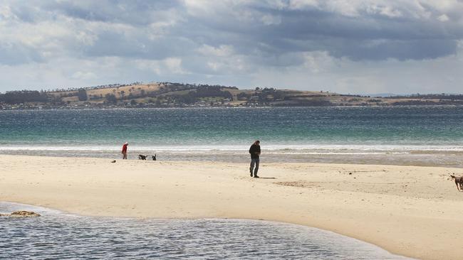 Kingston Beach, the site of a shark sighting. Picture: SUPPLIED