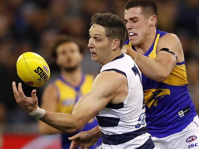 MELBOURNE, AUSTRALIA - SEPTEMBER 13: Harry Taylor of the Cats and Jake Waterman of the Eagles compete for the ball during the 2019 AFL First Semi Final match between the Geelong Cats and the West Coast Eagles at the Melbourne Cricket Ground on September 13, 2019 in Melbourne, Australia. (Photo by Dylan Burns/AFL Photos via Getty Images)