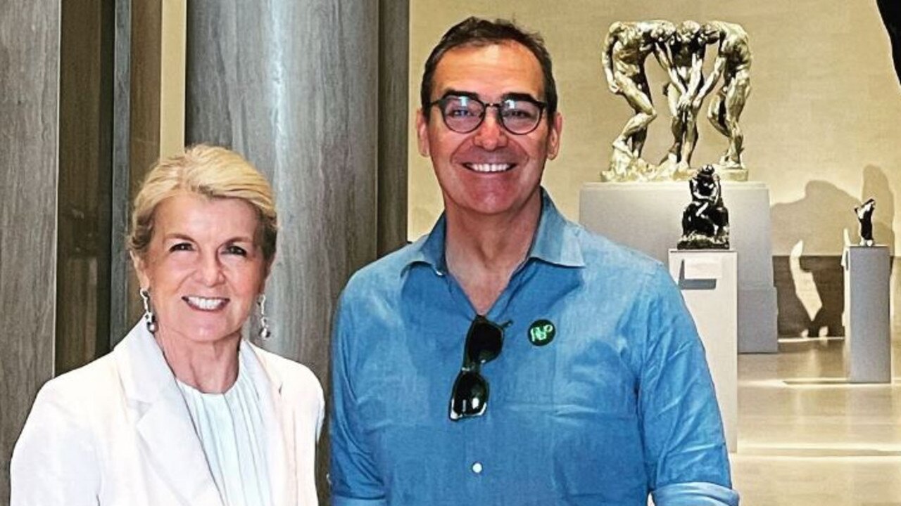 Former South Australian Premier Steven Marshall with Julie Bishop at the Legion of Honor Museum in San Francisco. Picture: Instagram