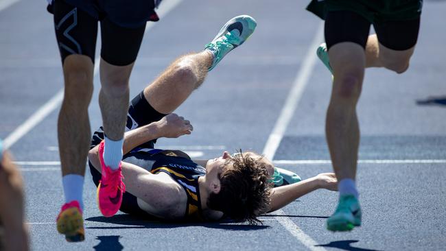 Boys 800m 17 years runner Isaac Brooks of Sceggs Redlands, Cremorne, falls over the line to grab third. Picture: Julian Andrews