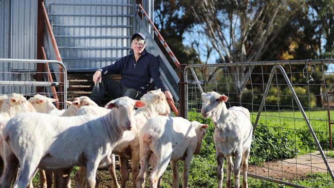 The Holt family have been farming for three generations near Wedderburn. Picture: Alex Coppel.