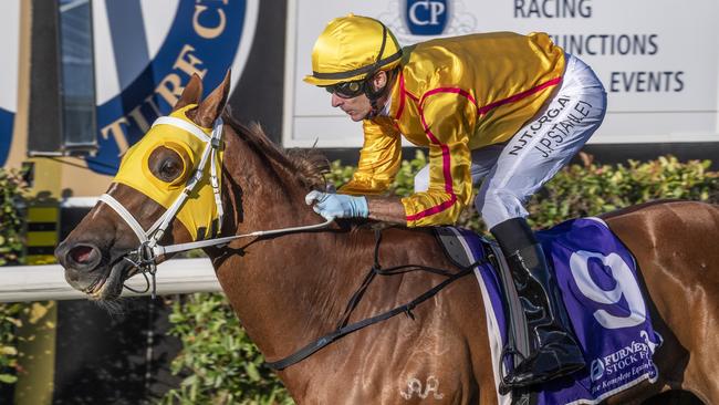 Trail of Glory ridden by Justin P Stanley wins race 1 at Clifford Park race course. Saturday. 31st Oct 2020