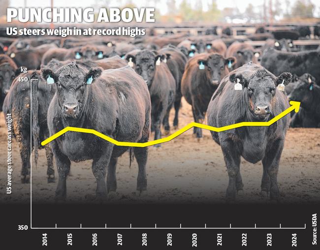 US steers weigh in at record highs.