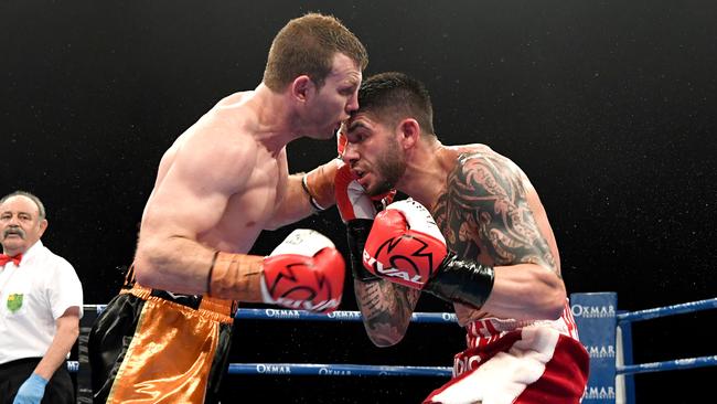 Jeff Horn and Michael Zerafa battle it out in Brisbane on Wednesday night. Picture: Getty Images