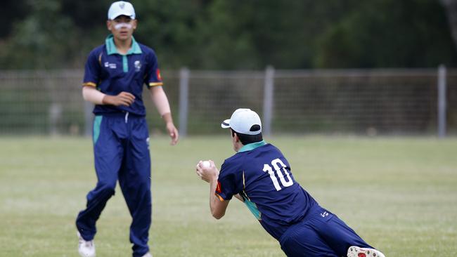 Riverina ran riot through the Greater Illawarra batting order. Picture: John Appleyard