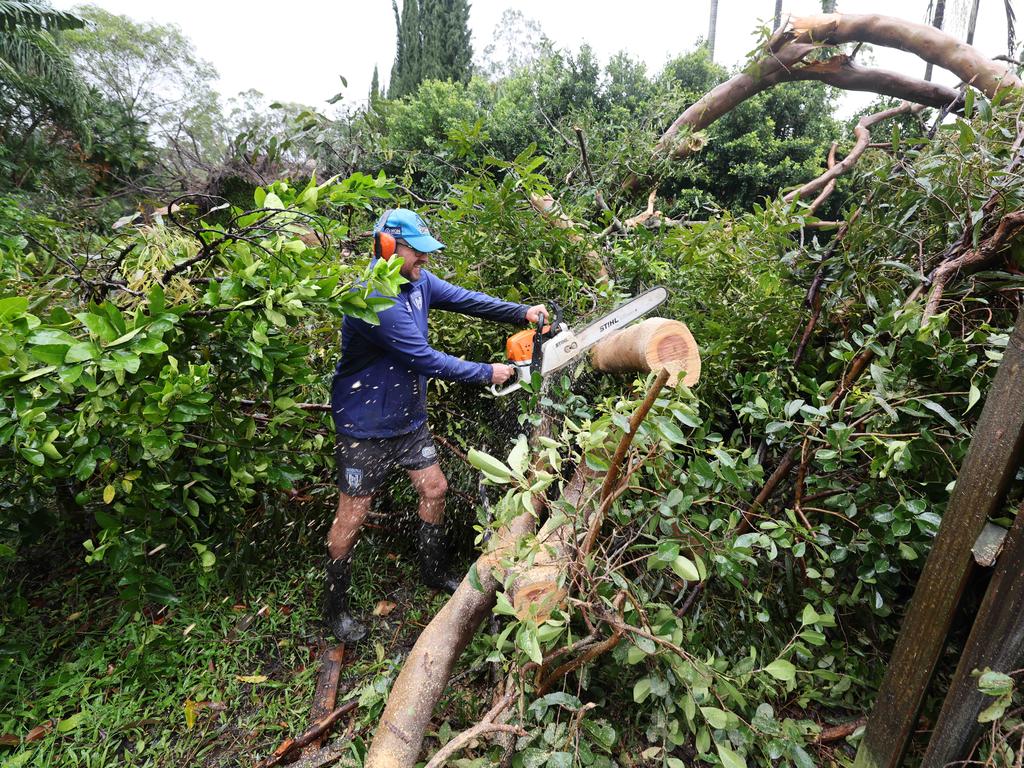 Mudgeeraba Residents in Hardys Rd work to clear fallen trees from their properties. Picture Glenn Hampson