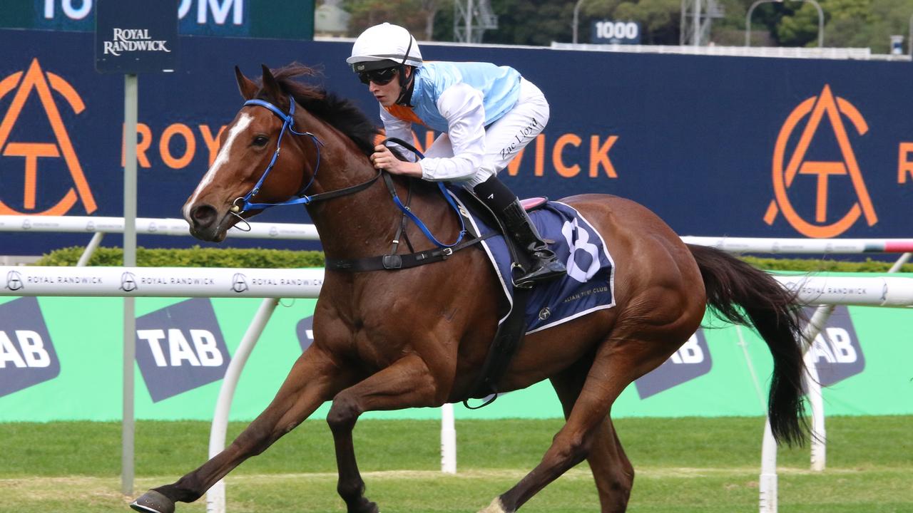 Warwick Farm tips State Of America to unleash his power The Advertiser