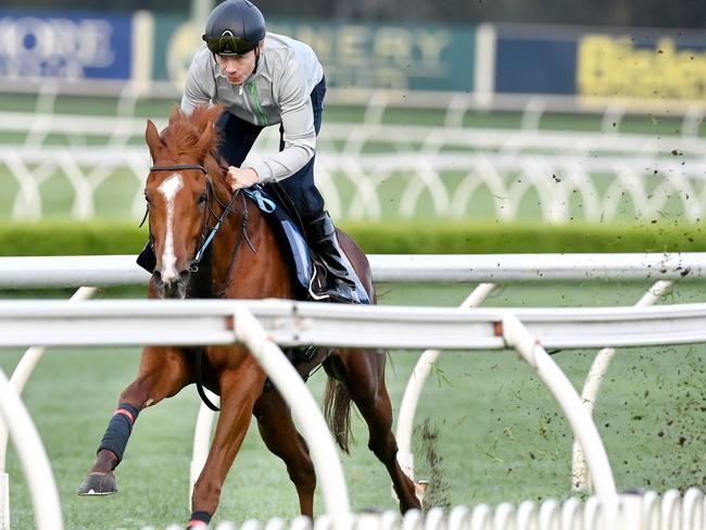 SYDNEY, AUSTRALIA -OCTOBER 25, 2022: UK Galloper Light Infantry with Jockey Jamie Spence during a practice run at Canterbury. Picture:  Jeremy Piper