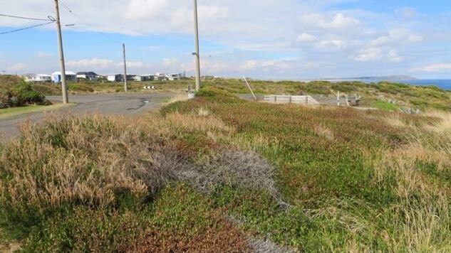 Some residents in Surf Beach and Sunderland Bay are feeling ignored by council after a decision was made to continue with a special charge scheme which would see roads be sealed and additional lighting added.