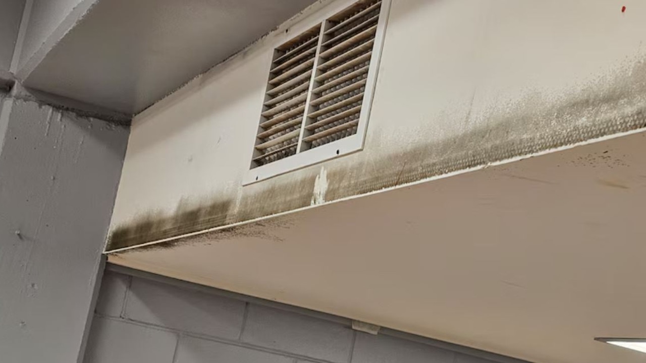 The school will need to be completely knocked down. Picture: School Infrastructure NSW