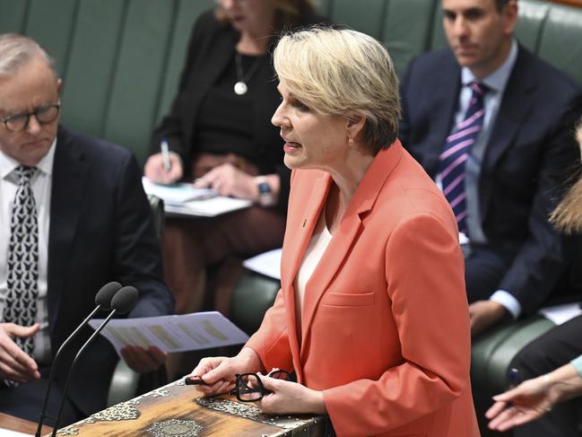 CANBERRA, Australia - NewsWire Photos - September 12, 2024: Minister for the Environment and Water Tanya Plibersek during Question Time at Parliament House in Canberra. Picture: NewsWire / Martin Ollman