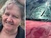 ‘Far out!’: Mystery object strikes on highway