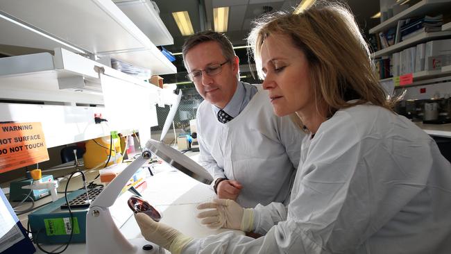 It is hoped that Sharon Lewin (right) will be Francoise Barre-Sinoussi’s ‘clone’ continuing the fight against HIV. Picture: Alex Coppel