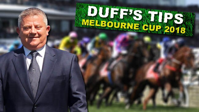 Ron Dufficy casts his eye over the field for the 2018 Melbourne Cup.