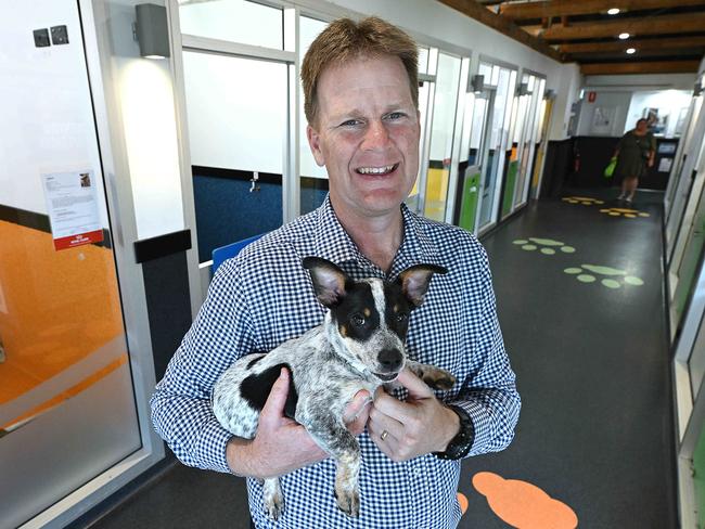 28/11/2024: Outgoing RSPCA CEO Darren Maier, with a puppy that is up for adoption, at the RSCPCA head quarters in Wacol, Brisbane. pic: Lyndon Mechielsen/Courier Mail