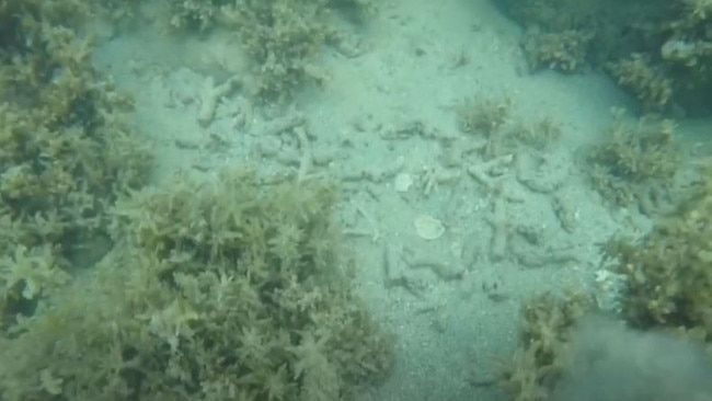 Footage of what resident James Asbury describes as damaged coral near a Keswick Island boat ramp. Picture: James Asbury