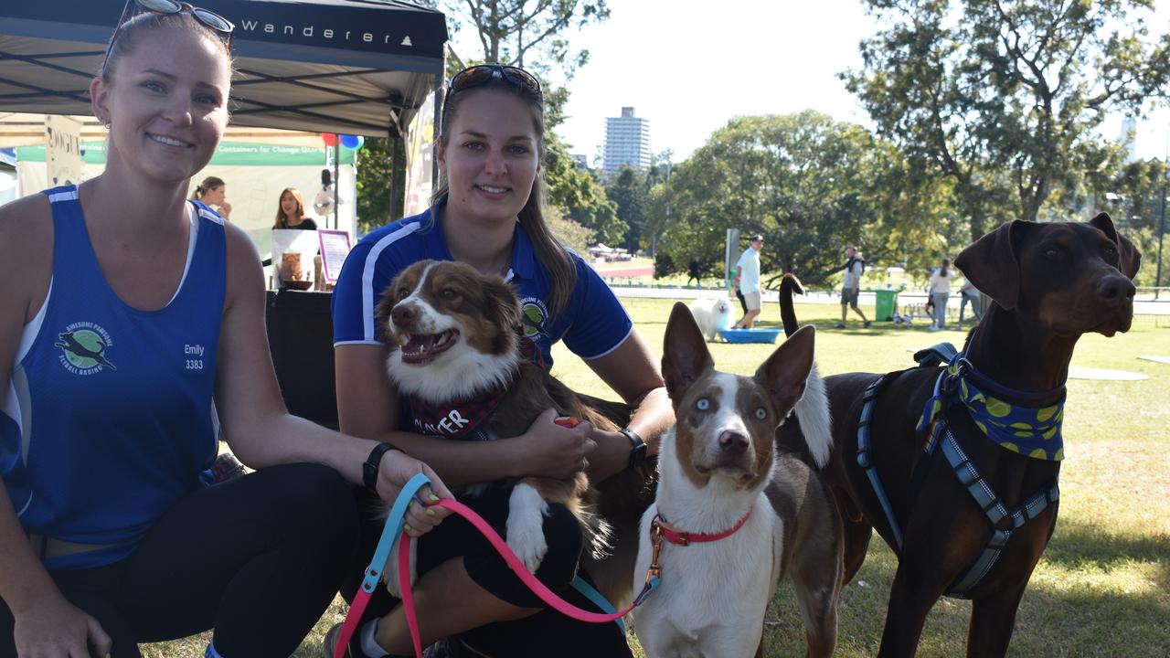 What a paw-fect day in Brisbane for the RSPCA Million Paws Walk. See ...