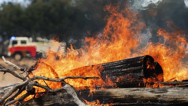 Backburning operations at Fingal. Picture: CHRIS KIDD