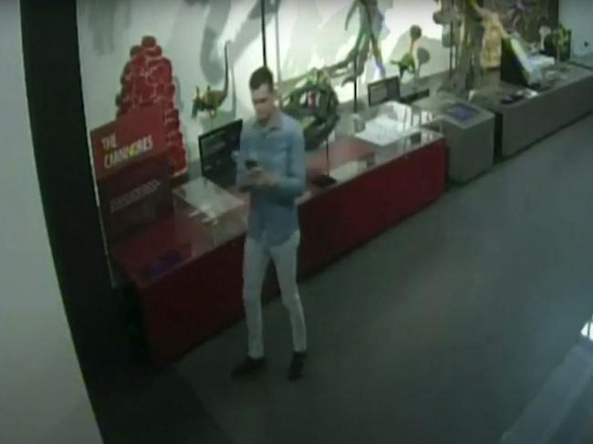 A young man has been sentenced after sneaking into a Sydney museum and snapping selfies with dinosaurs – before stealing a piece of artwork and a cowboy hat. Picture: Supplied