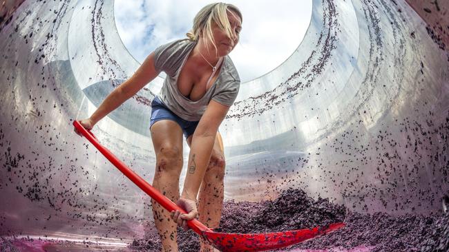 EMBARGO FOR TWAM 19 NOVEMBER, 2022. FEE MAY APPLY.  Heart of the Nation. Georgia shoveling out the shiraz. Photo: Victor Pugatschew/Supplied