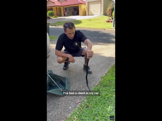 200125_Snake catcher removes highly venomous snake hiding under car seat_1