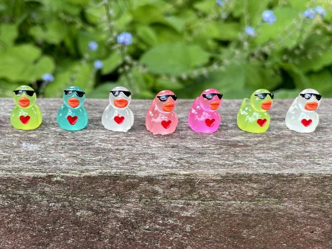 The tiny resin ducks have been appearing along fences and in letter boxes around Tyabb with at least 1000 delivered across the town. Picture: Lucy Callander