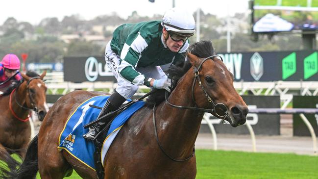 Growing Empire is the Coolmore Stud Stakes favourite. Picture: Vince Caligiuri/Getty Images