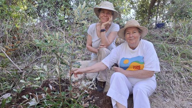 (Left to right) Jetty Dunecare volunteer Lindy Davis and Jetty Dunecare President Desnee McCosker with the “Wendy tree” – a coastal banksia planted at the site where Ms Hansen’s remains were found. Picture: Toni Moon.