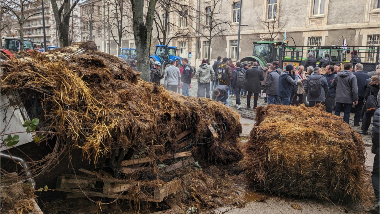Fed up French farmers spray manure on government buildings in protest